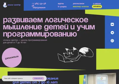 Снимок главной страницы alisa-centre.ru
