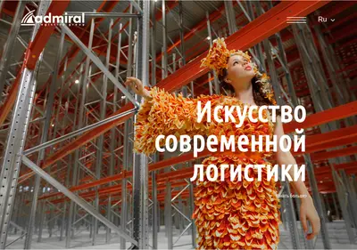 Снимок главной страницы admiral-tsv.ru