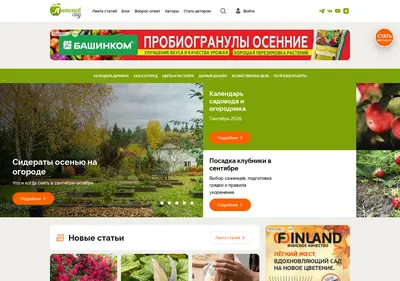Снимок главной страницы antonovsad.ru