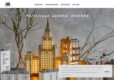Снимок главной страницы anokhinnikita-store.ru