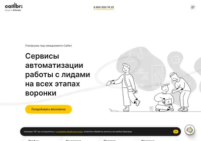 Снимок главной страницы callibri.ru