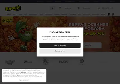 Снимок главной страницы boogie-shop.ru