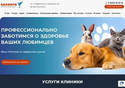 Снимок главной страницы colibri26.ru