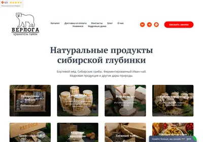 Снимок главной страницы berrrloga.ru