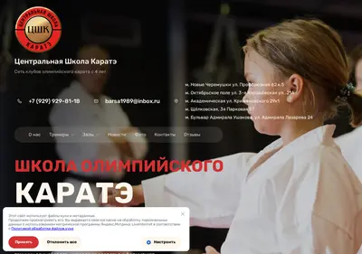 Снимок главной страницы central-karate.ru