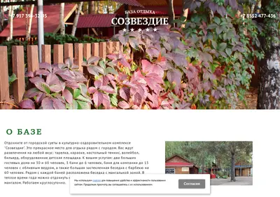 Снимок главной страницы b-sozvezdie.ru