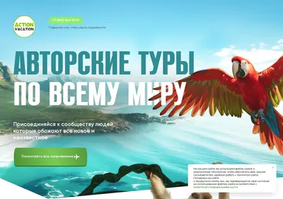 Снимок главной страницы action-vacation.ru