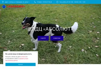 Снимок главной страницы absolut48.ru