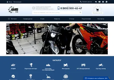 Снимок главной страницы amssib.ru