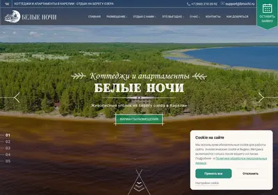 Снимок главной страницы bnochi.ru