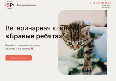 Снимок главной страницы br-vetclinic24.ru