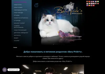 Снимок главной страницы baryprides.ru