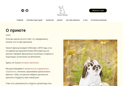 Снимок главной страницы bunnyrehab.ru