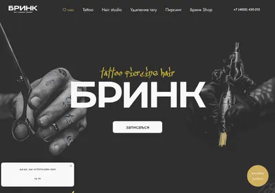 Снимок главной страницы brinkstudio.ru