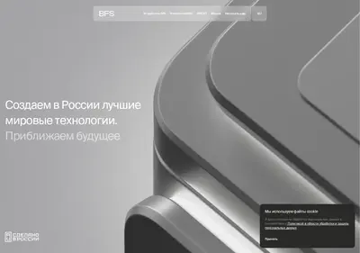 Снимок главной страницы bfs.su