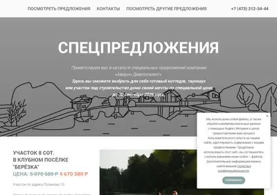 Снимок главной страницы aviron-broker.ru