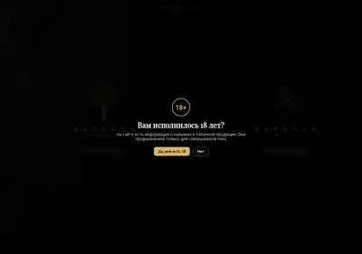 Снимок главной страницы barvikhagroup.ru