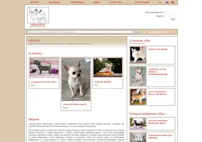 Снимок главной страницы chihuadatabase.ru