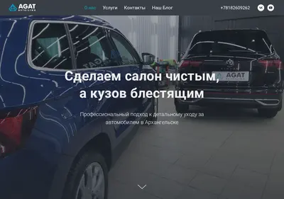 Снимок главной страницы agat-detailing.ru