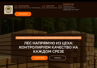 Снимок главной страницы berezroscha32.ru