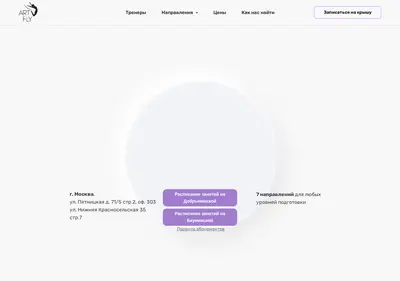 Снимок главной страницы artflybungee.ru