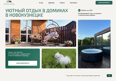 Снимок главной страницы afonyahouse.ru