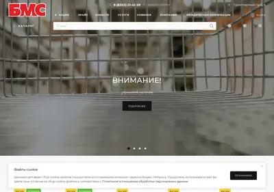 Снимок главной страницы bmskirov.ru
