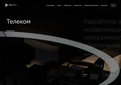 Снимок главной страницы bringo.ru