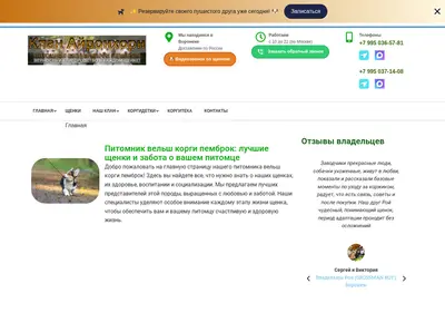 Снимок главной страницы clanironhorn.ru