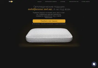Снимок главной страницы 2sleep.su