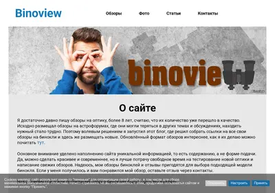 Снимок главной страницы binoview.ru