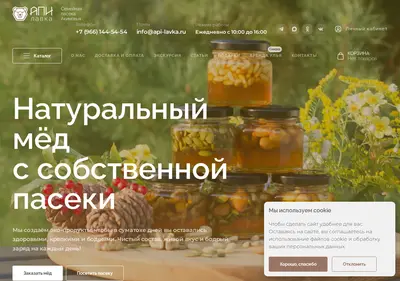 Снимок главной страницы api-lavka.ru