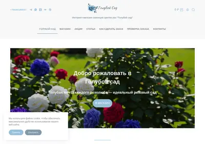 Снимок главной страницы blue-garden.ru