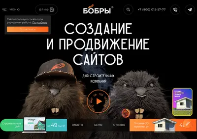 Снимок главной страницы bobers.ru