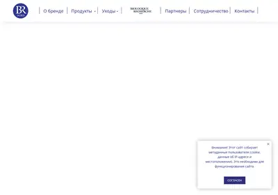 Снимок главной страницы brnord.ru