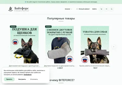 Снимок главной страницы biteforce-shop.ru
