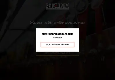 Снимок главной страницы beerodrom.ru