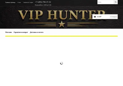 Снимок главной страницы viphunter.ru