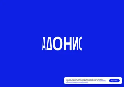 Снимок главной страницы adoniskzn.ru