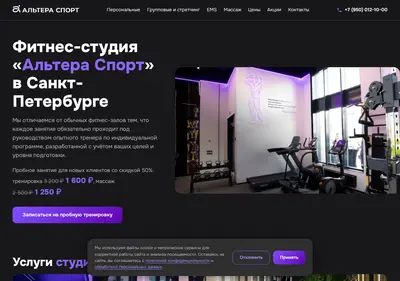 Снимок главной страницы alterasport.ru