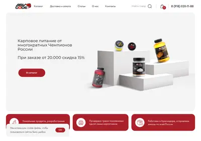 Снимок главной страницы asvcode.ru