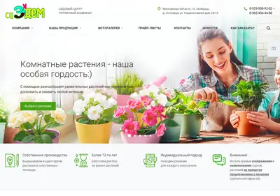 Снимок главной страницы 2110658.ru