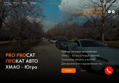 Снимок главной страницы procat.su