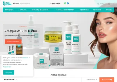 Снимок главной страницы belkrolik.ru