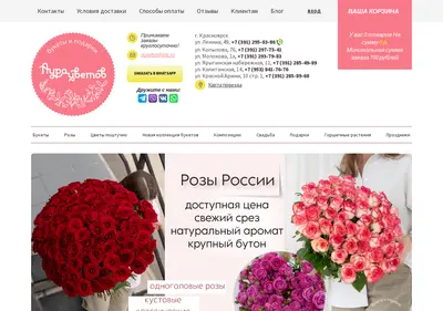 Снимок главной страницы auraf.ru
