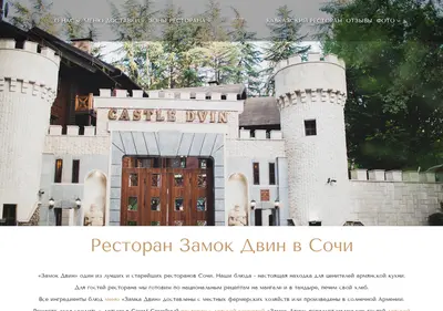 Снимок главной страницы castle-dvin.ru