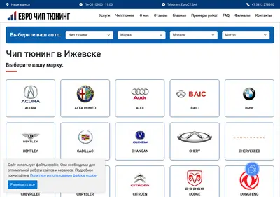 Снимок главной страницы chip-tyuning-izhevsk.ru