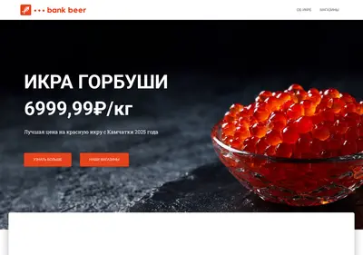 Снимок главной страницы bankbeer24.ru