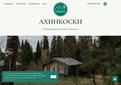Снимок главной страницы ahinkoskihouse.ru