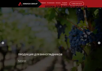 Снимок главной страницы armadag.ru